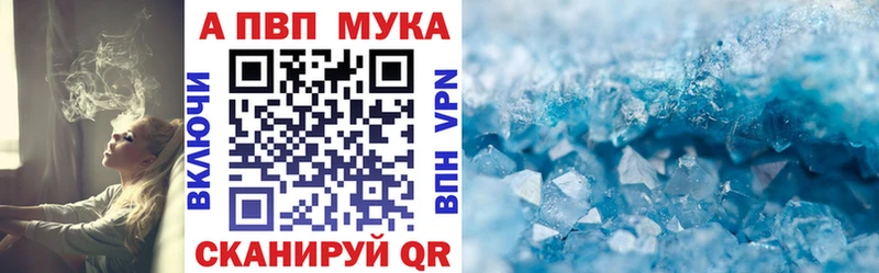 KRAKEN tor  Шацк  Alfa_PVP крисы CK 
