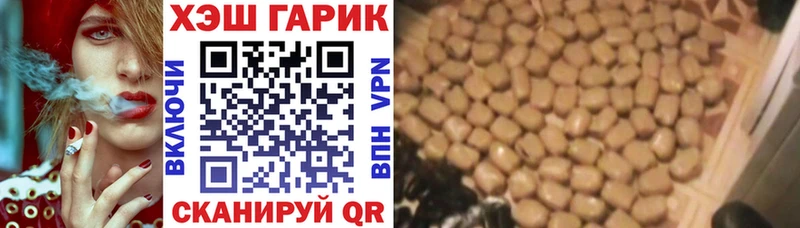 ГАШ Изолятор Шацк